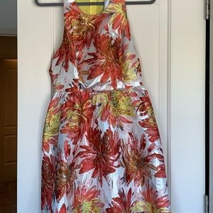 Adorable Ark and Co Mini Dress